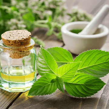 The Astounding Benefits of Peppermint Essential Oil
