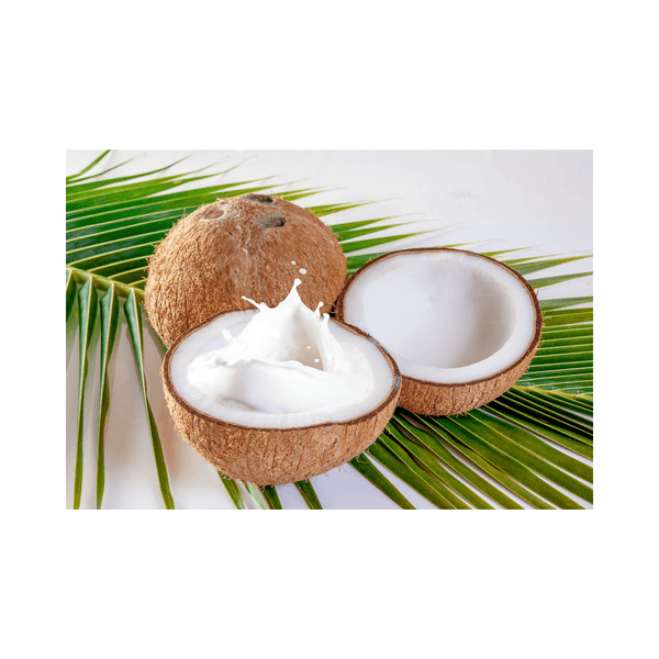 The Benefits of Coconut Milk for Skin: A Natural Hydration Powerhouse