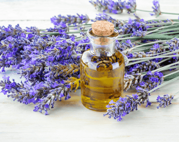 The Versatile Benefits of Lavender Essential Oil for Skin and Hair