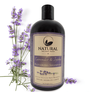 bottle of calming lavender shampoo for dry hair jojoba oil lavender essential oil for hair